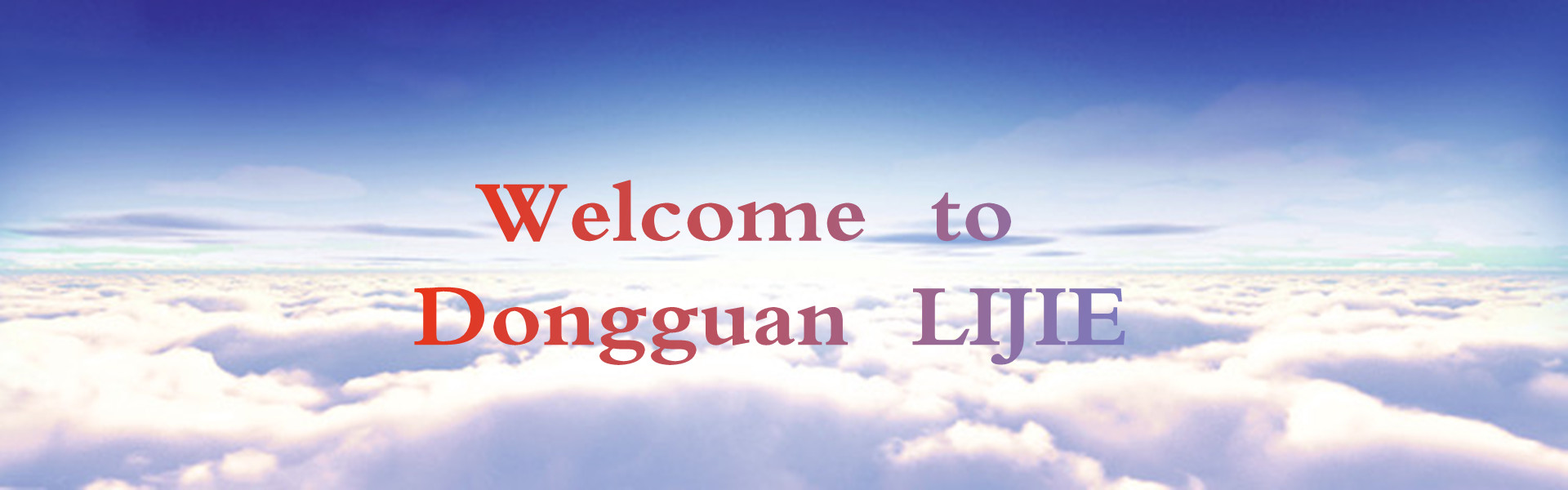 Dongguan Lijie Starch Technology Co.,Ltd